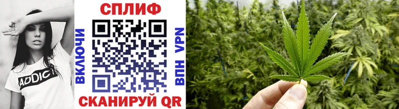 Купить закладку Новый Уренгой ГАШИШ  А ПВП  Меф мяу мяу  COCAIN 