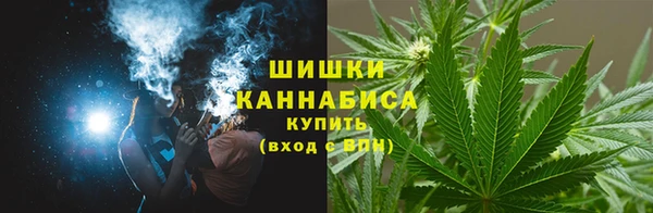 амф Верея