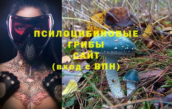 амф Верея