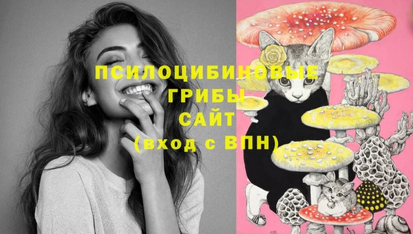 амф Верея