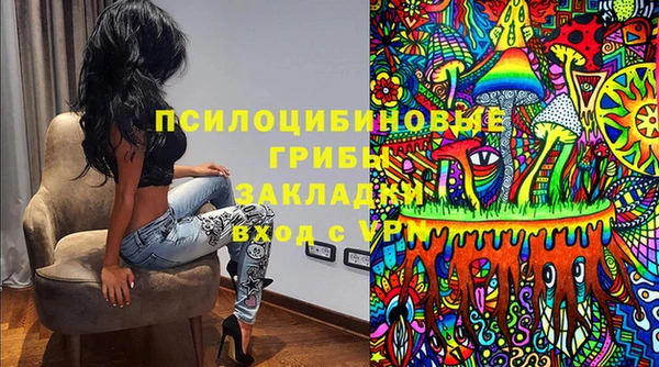 ПСИЛОЦИБИНОВЫЕ ГРИБЫ Верхнеуральск