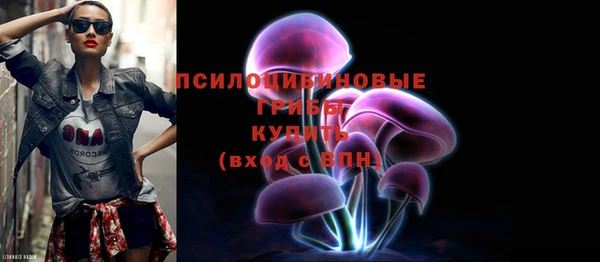 ПСИЛОЦИБИНОВЫЕ ГРИБЫ Верхнеуральск