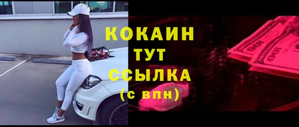 амф Верея