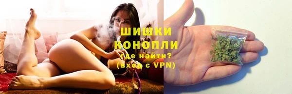 ПСИЛОЦИБИНОВЫЕ ГРИБЫ Верхнеуральск