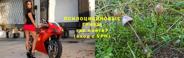 ПСИЛОЦИБИНОВЫЕ ГРИБЫ Верхнеуральск