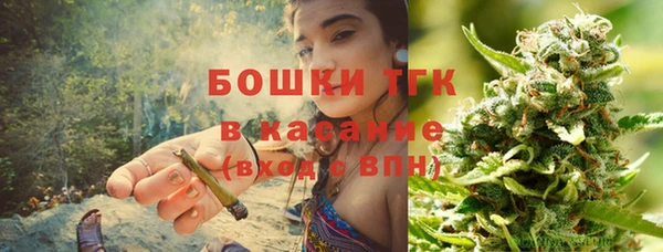 амф Верея