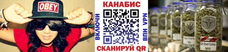 omg как войти  купить  цена  Новый Уренгой  Бошки Шишки SATIVA & INDICA 